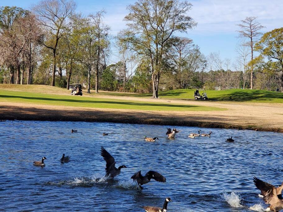 Lovely 1-bedroom In River Oaks Golf Apartment *
