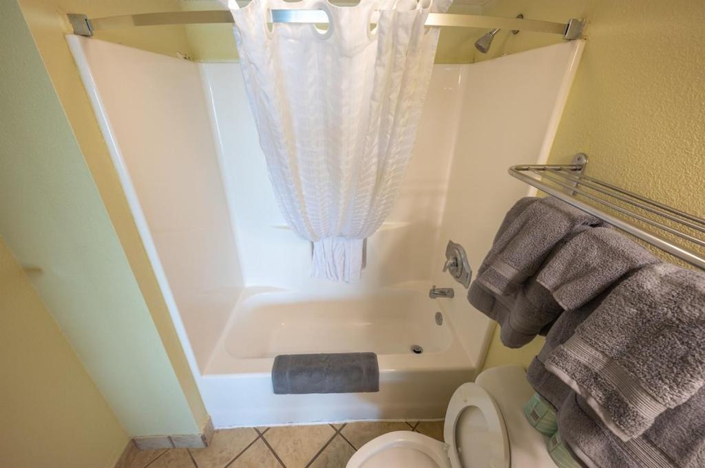 Floor,direct Oceanfront,heated Pool,boardwalk! *