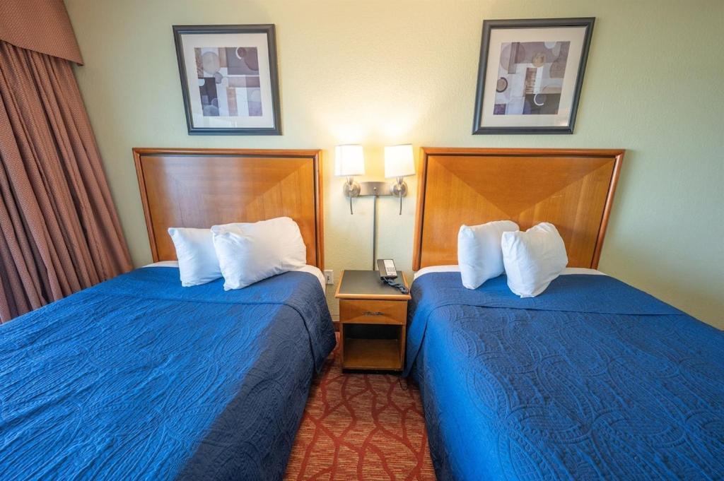 Floor,direct Oceanfront,heated Pool,boardwalk! *