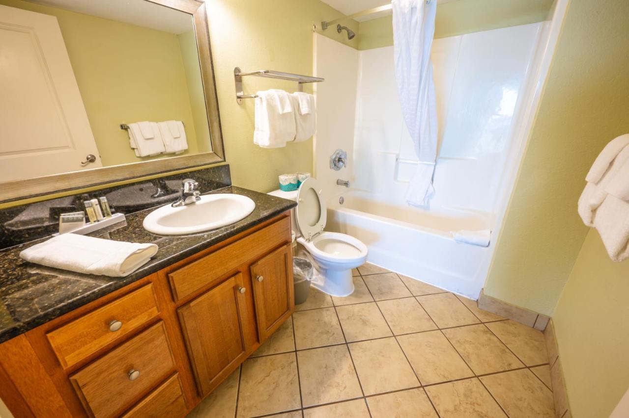 Direct Oceanfront, Heated Pool, Boardwalk, Apartment