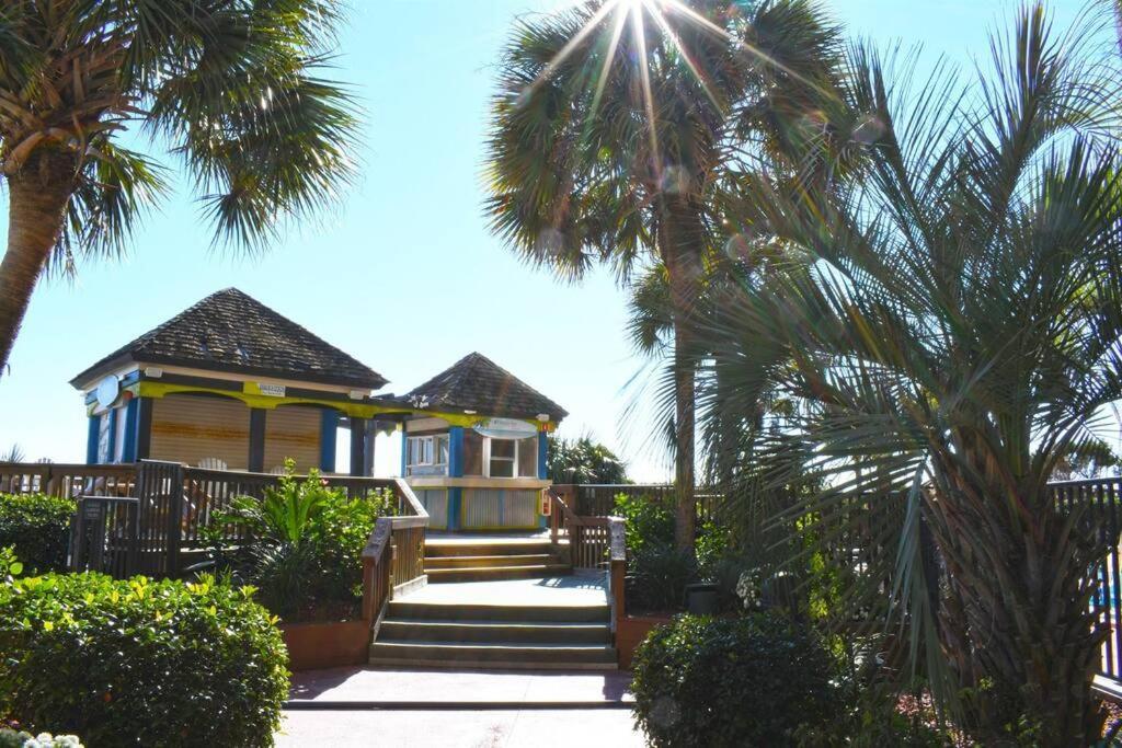 New Remodeled Direct Oceanfront Views Cove *