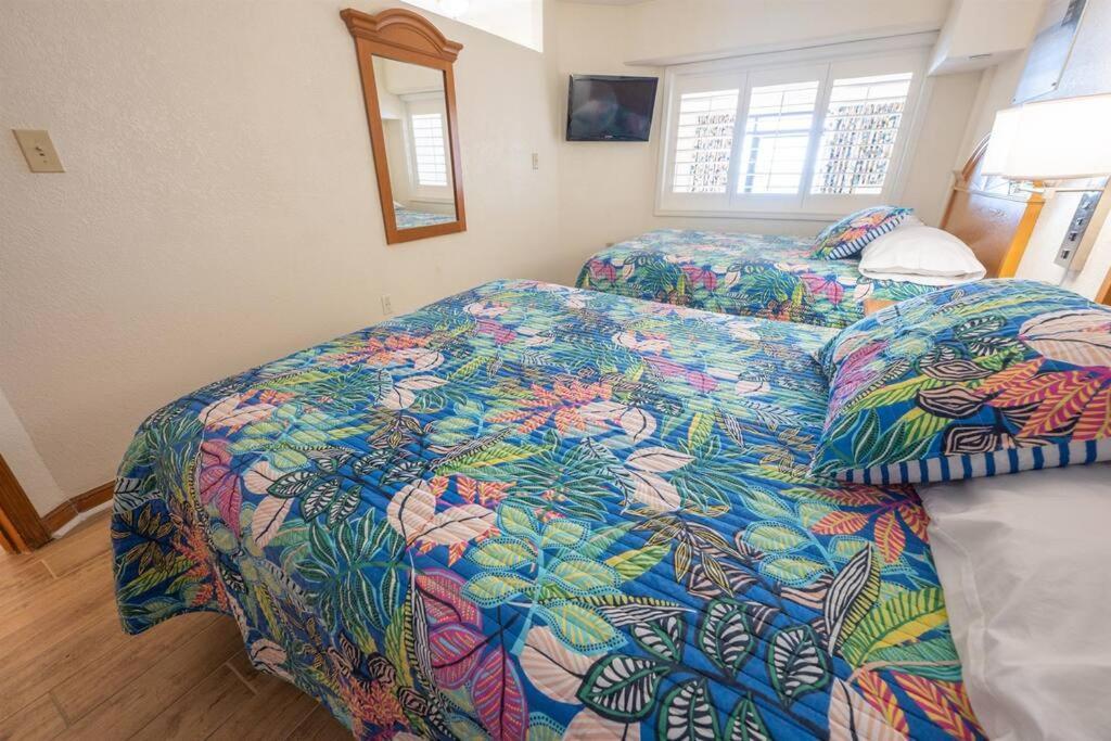 New Remodeled Direct Oceanfront Views Cove