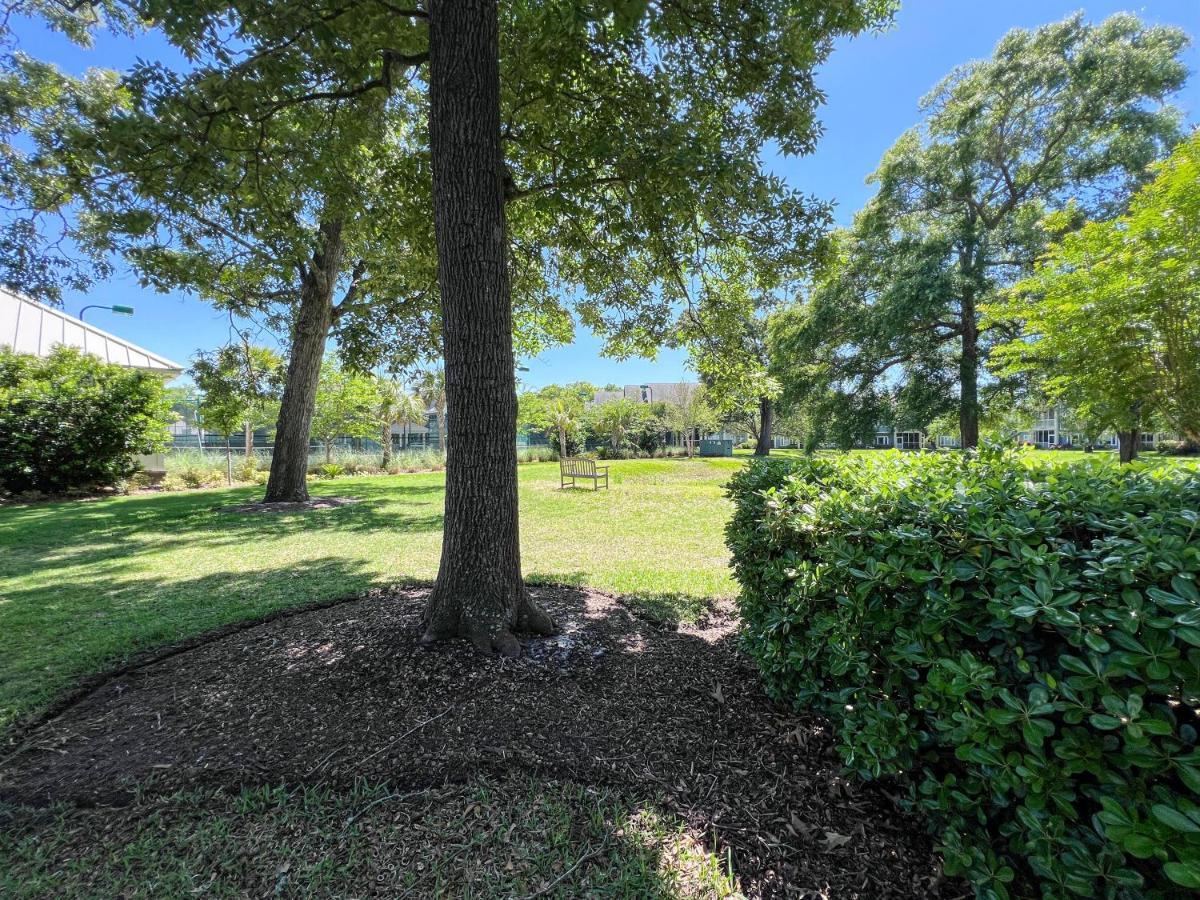 Canterbury Court - 6a Myrtle Beach