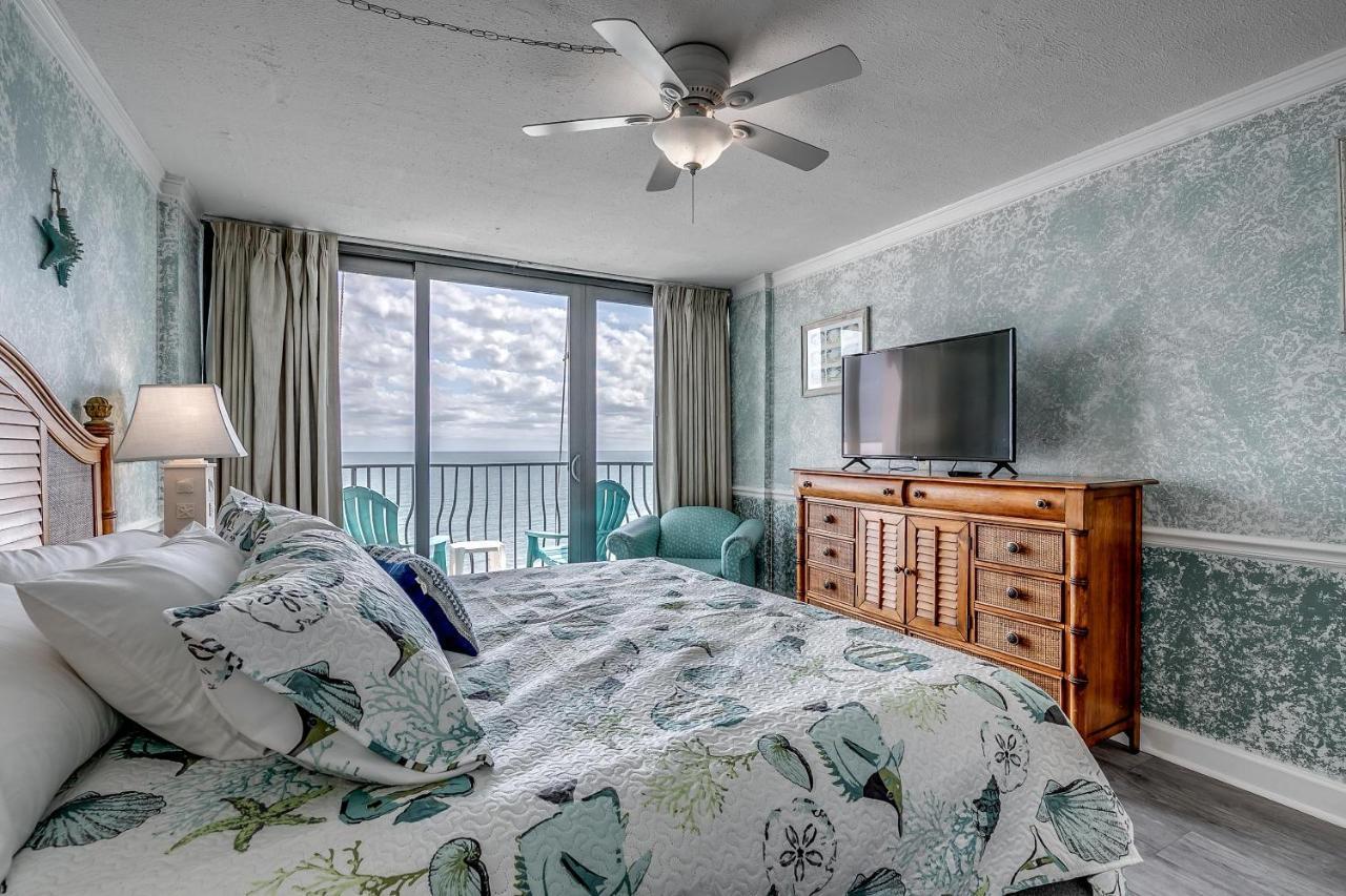 Palms 1704