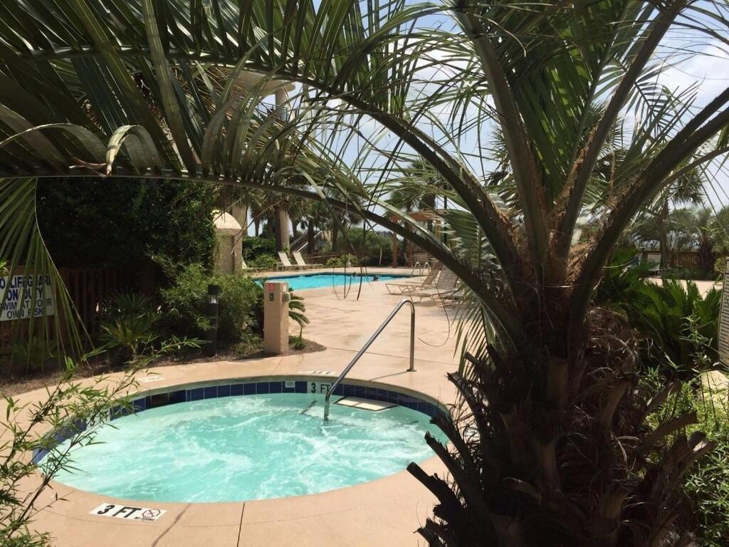 Apartment 803 Brighton