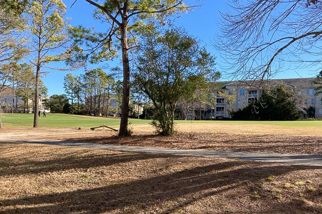 The Sandy Oyster Myrtle Beach