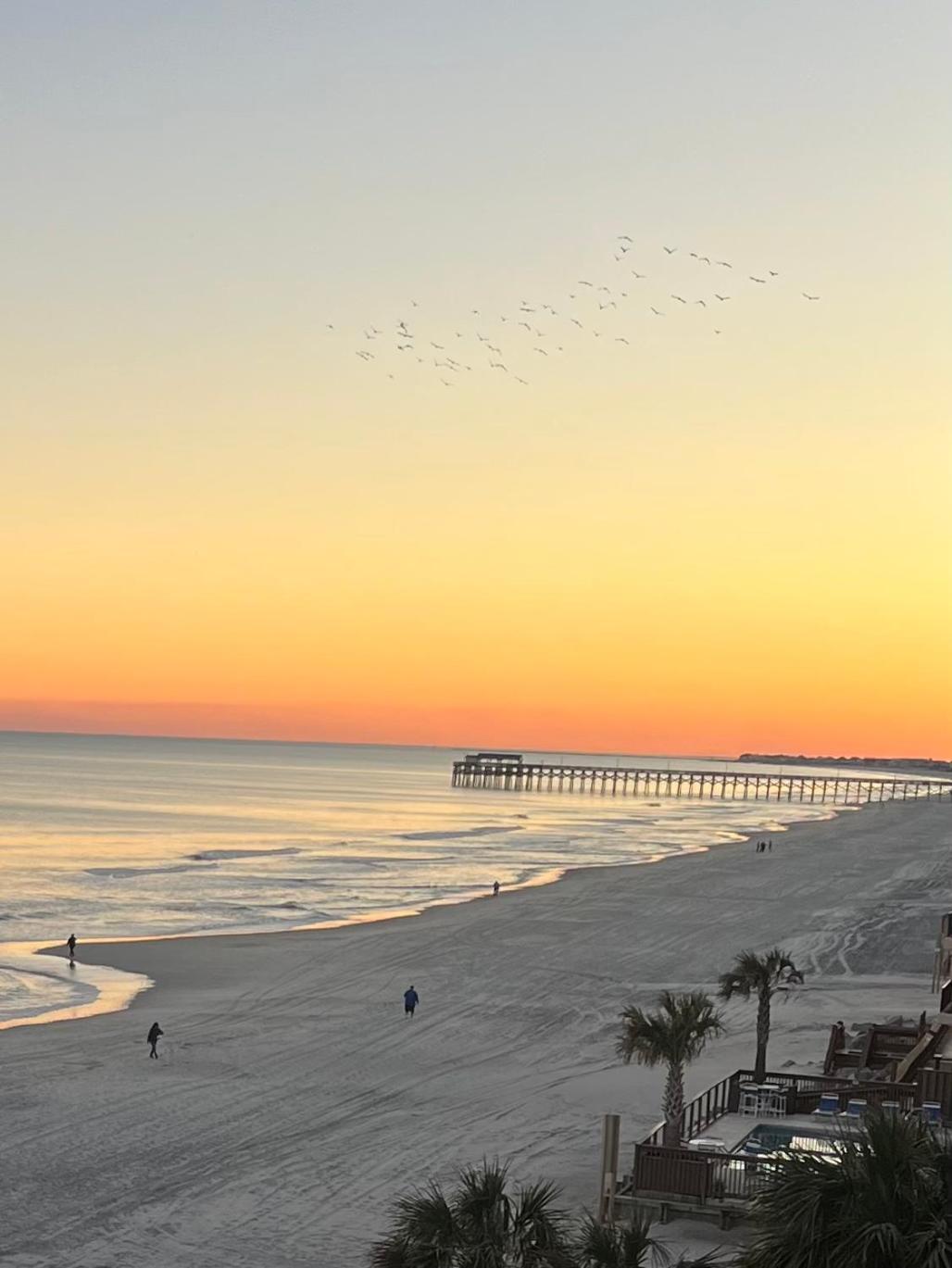 Apartment Carolina Shores Ll *