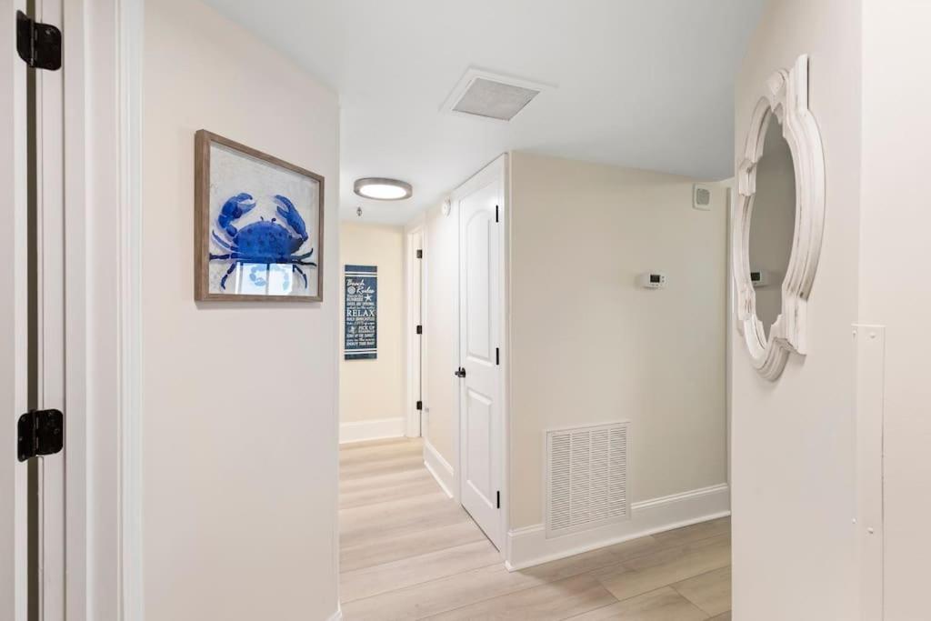 Apartment Pinnacle Oceanfront: Newly Updated With Enclosed Pool *