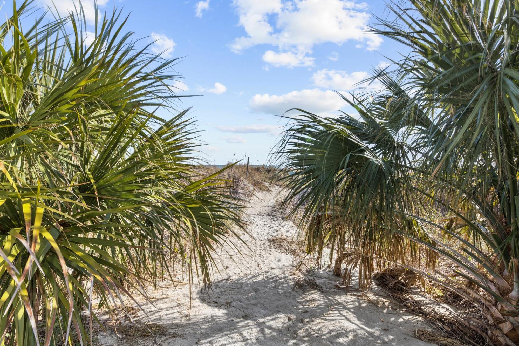Lavish Accessible, On Ocean, 4 King Beds, Huge Private Pool, Yard, Spa, Patio, Bbq, & Game Tables Myrtle Beach