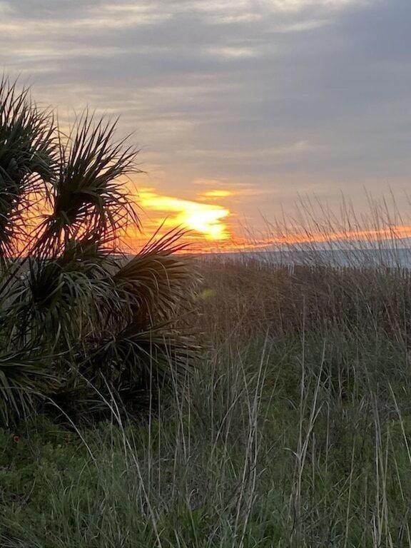2501 S Ocean Blvd, 1115 - Ocean View Sleeps 8 Holiday home Myrtle Beach
