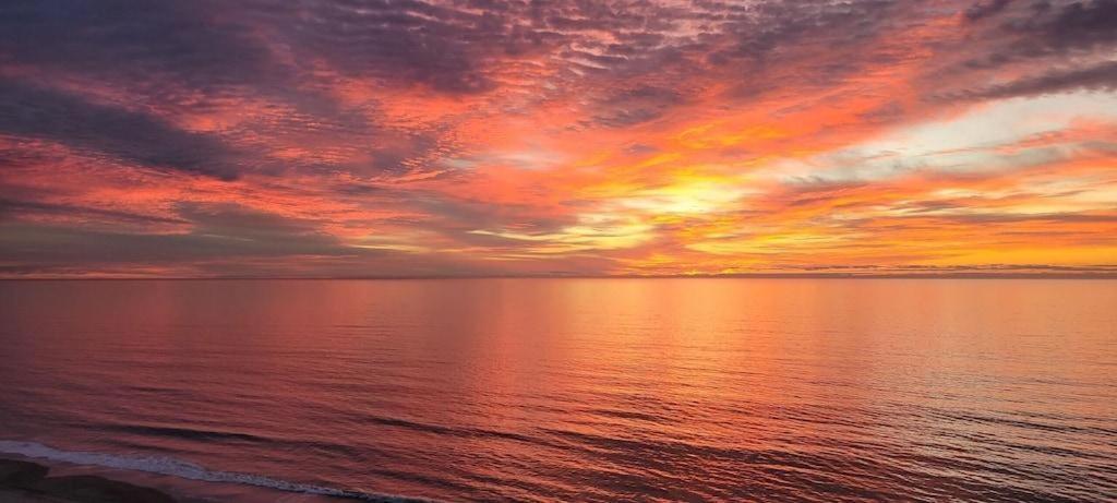2501 S Ocean Blvd, 1005 - Ocean Front Sleeps 4 * Myrtle Beach