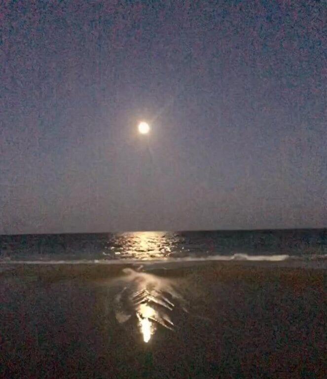 2501 S Ocean Blvd, 1005 - Ocean Front Sleeps 4 Holiday home