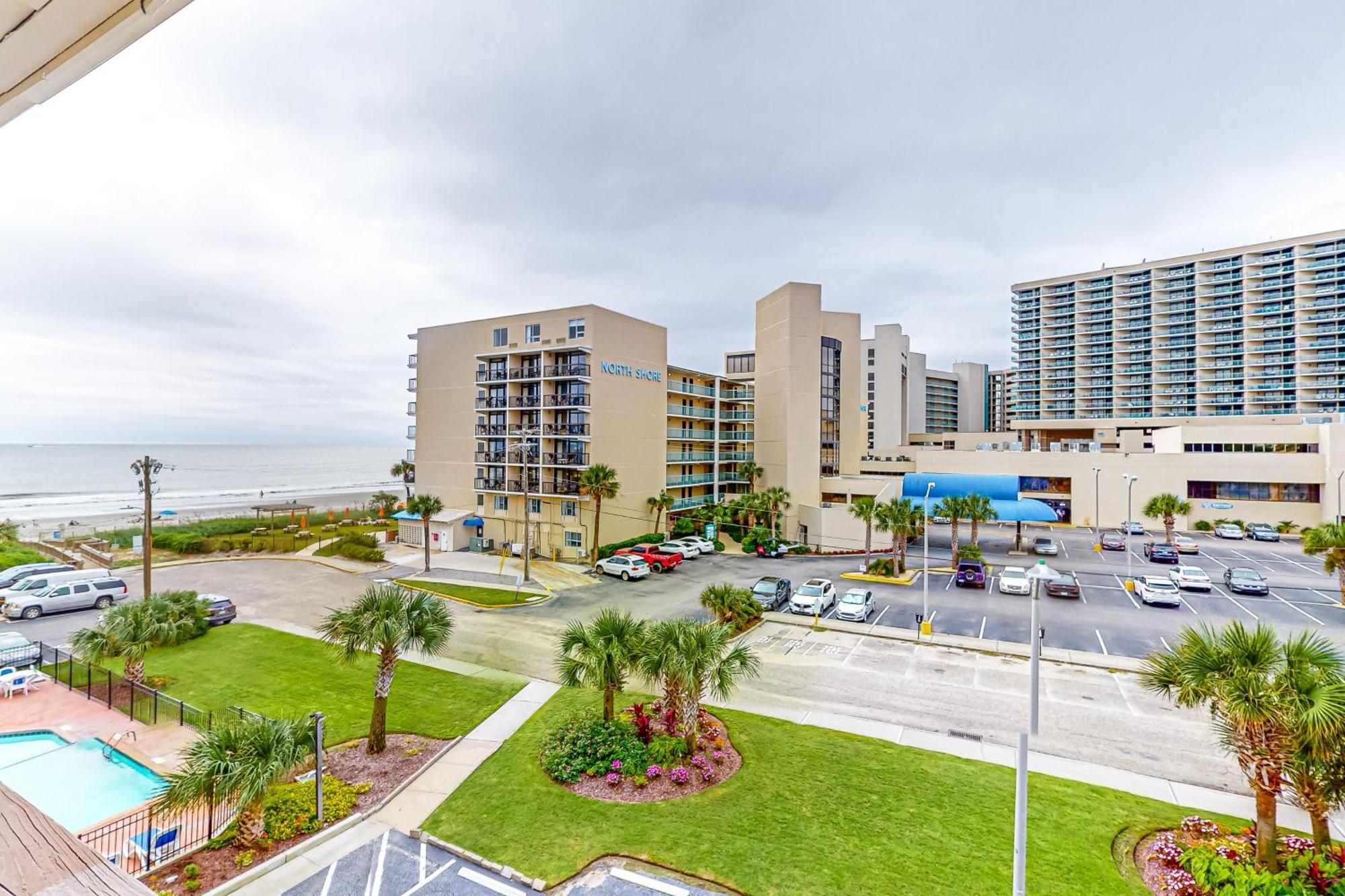 Dolphin Myrtle Beach