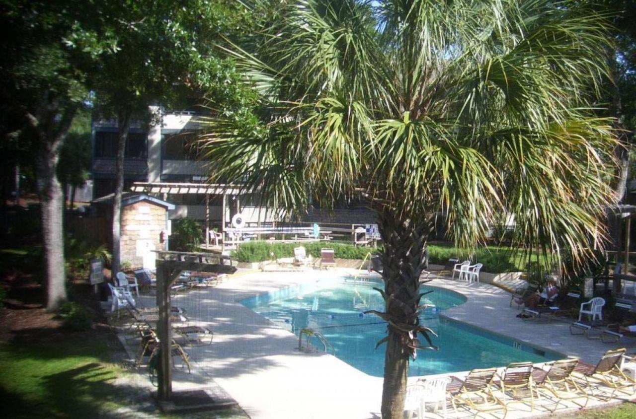 Summertree C8 *