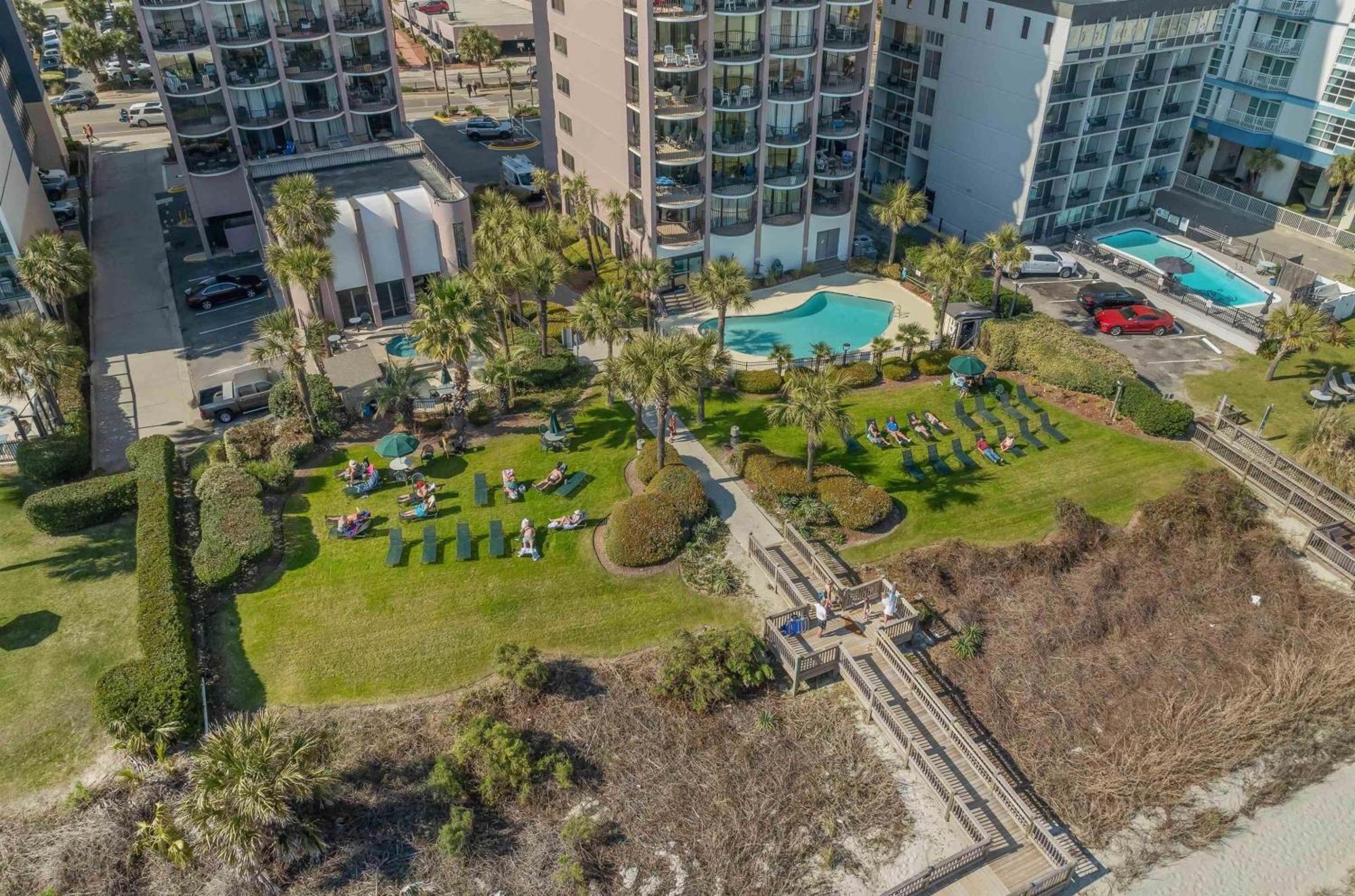 Palms 1002 *