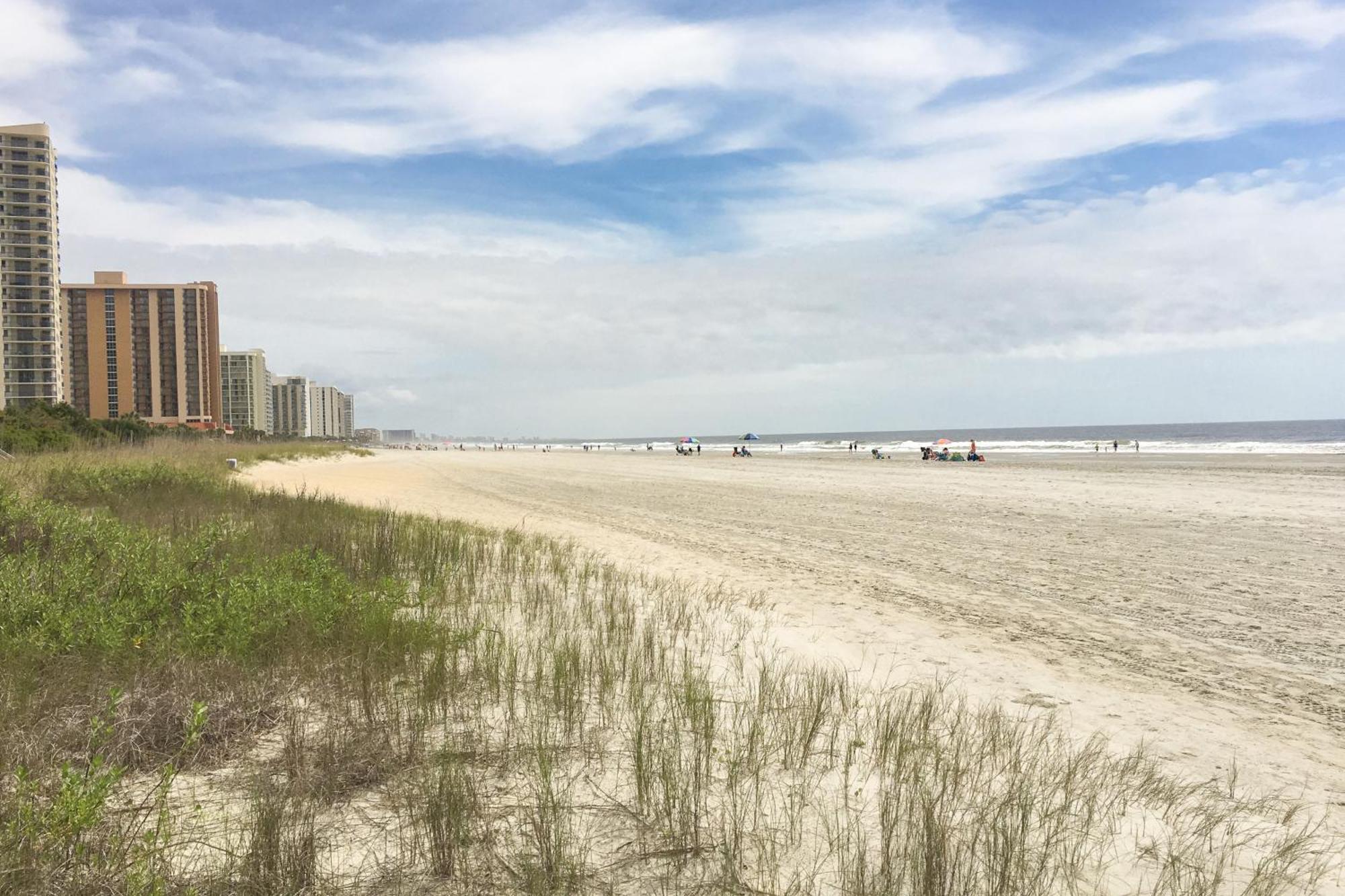 Apartment Dunes Pointe D-3