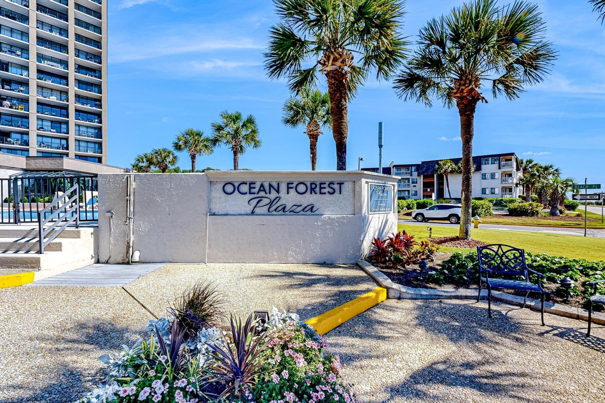 Oceanside Oasis