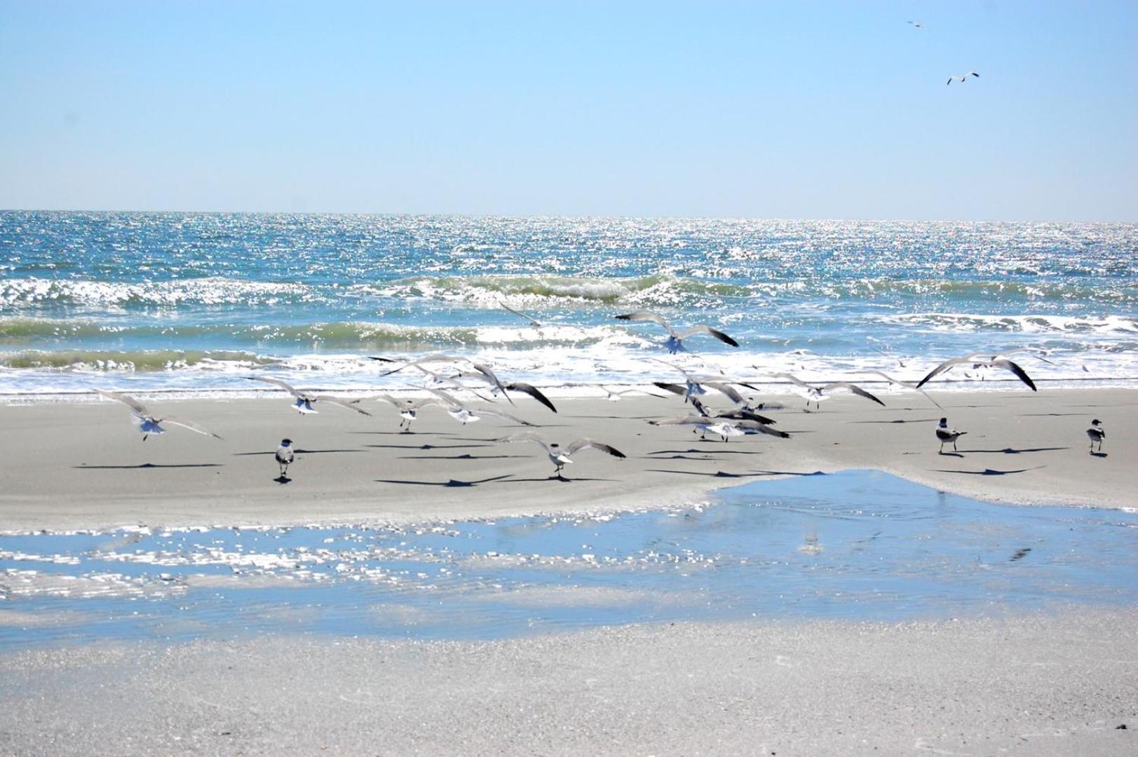 A Place At The 9560 1j * Myrtle Beach