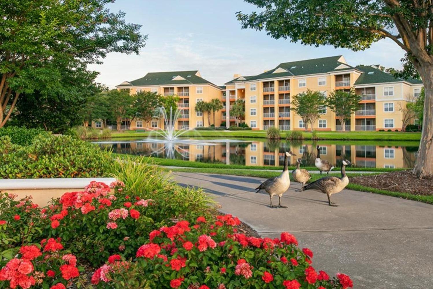 Living In 2bd With Pools, Waterslides, And Lazy River Myrtle Beach