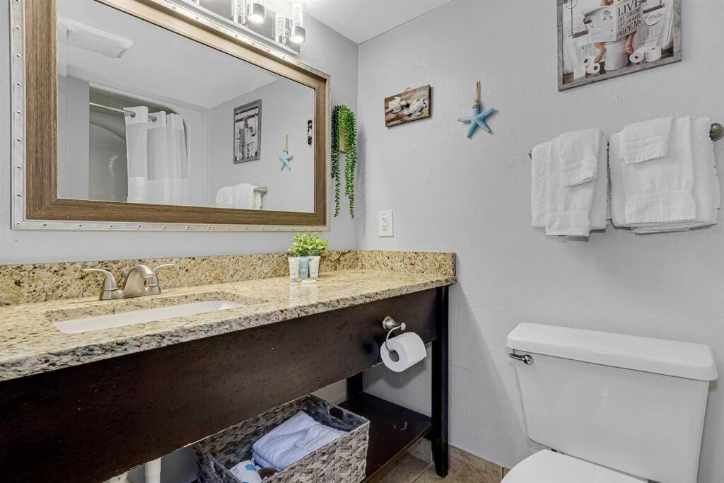 Gorgeous 1br Oceanview Suite, Dogs Ok 904