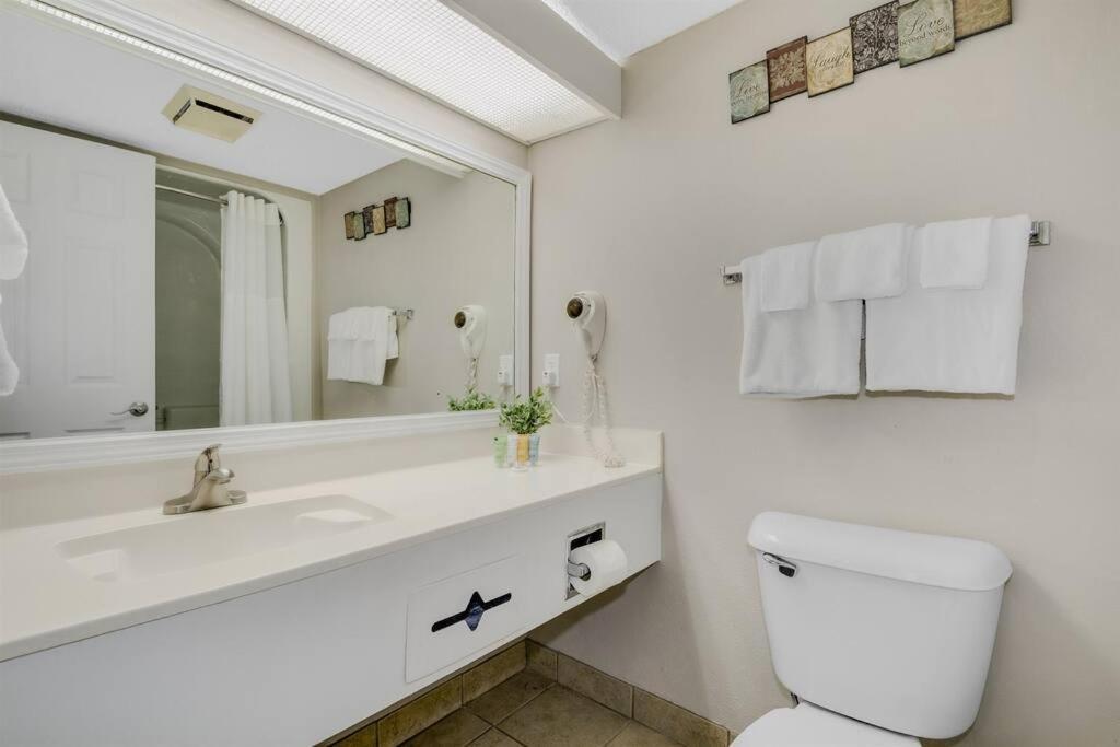 1br Oceanview Relaxation Awaits Dogs Ok! 1704 Apartment *