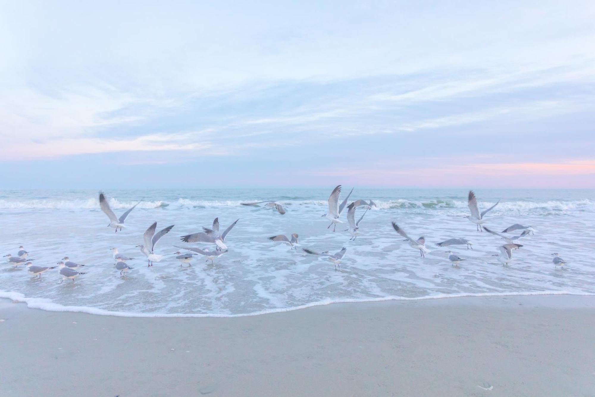 One Sandy Day - 2br 2ba Condo, Sleeps 6