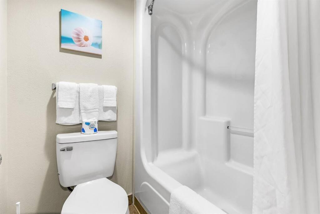 Supreme Oceanfront Studio, Dogs Ok! 1126 Apartment Myrtle Beach