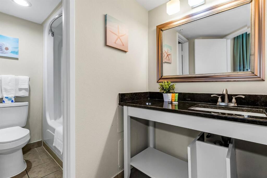 Apartment Supreme Oceanfront Studio, Dogs Ok! 1126