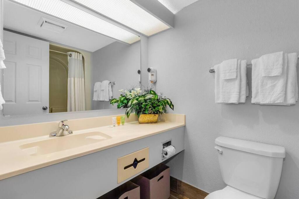 Captivating Coastal Charm - Oceanview Suite! Pg 504 Apartment