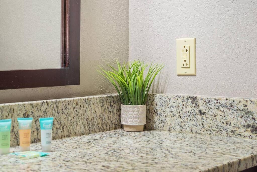 Alluring 1br Oceanview Suite! Dogs Welcome! 704
