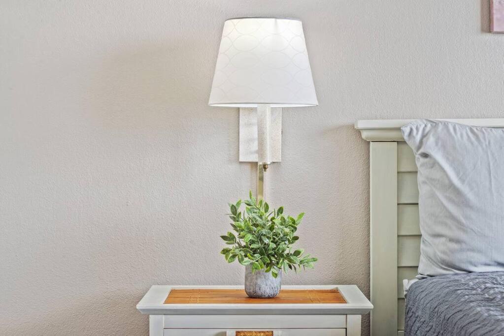 Alluring 1br Oceanview Suite! Dogs Welcome! 704