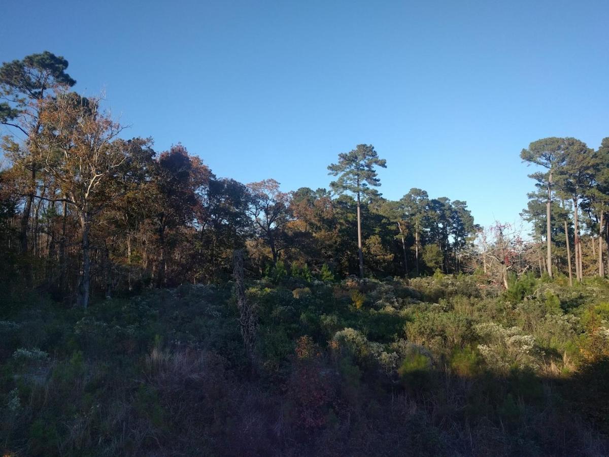 Apartment Centrally Located-secluded-nature-15 Min To Myrtle Beach