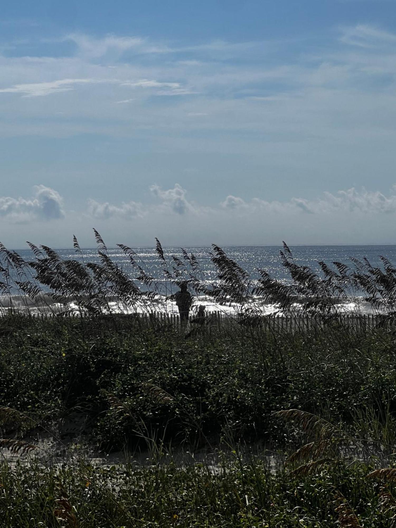 Boardwalk
