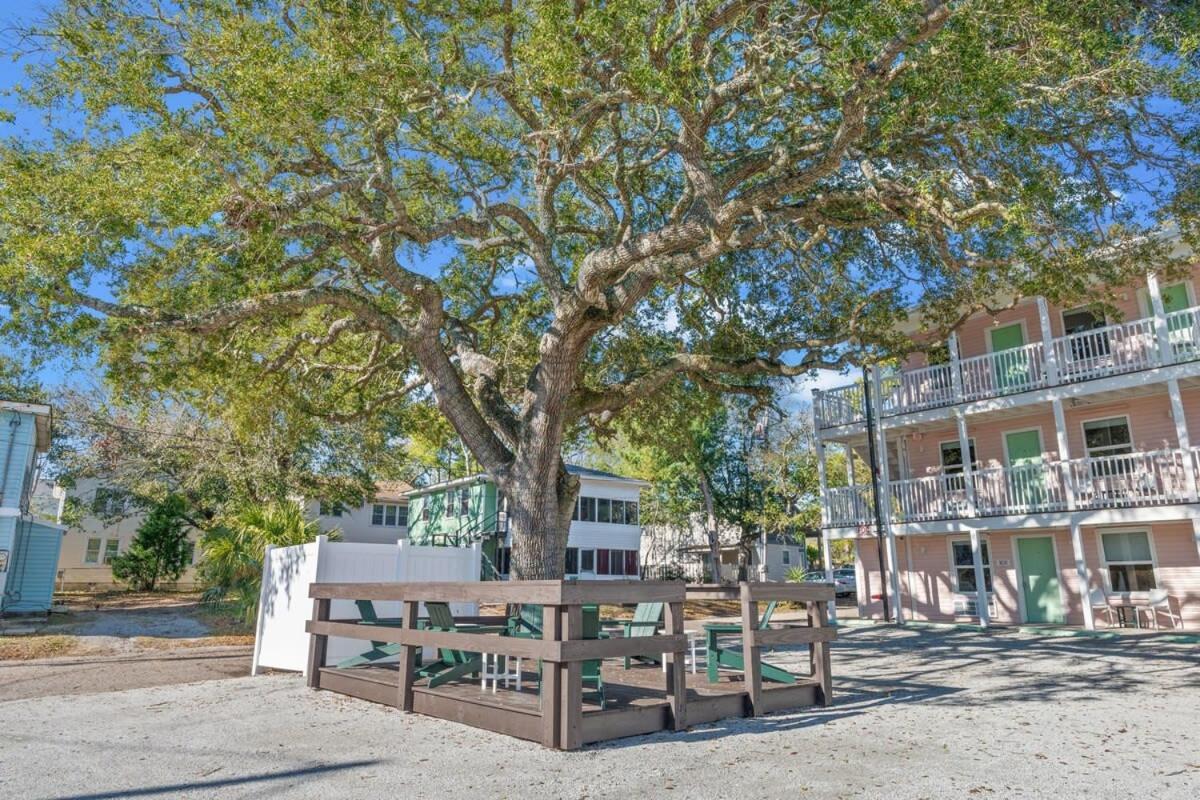 Apartment Treehouse Walk To Pet-friendly 101