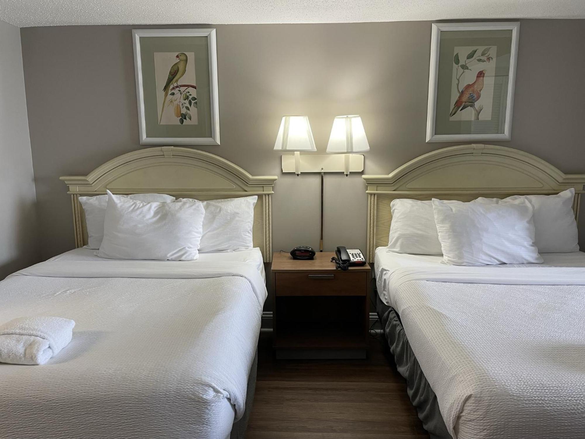 Hotel Camelot By The Sea - Blue Palmetto Vacation