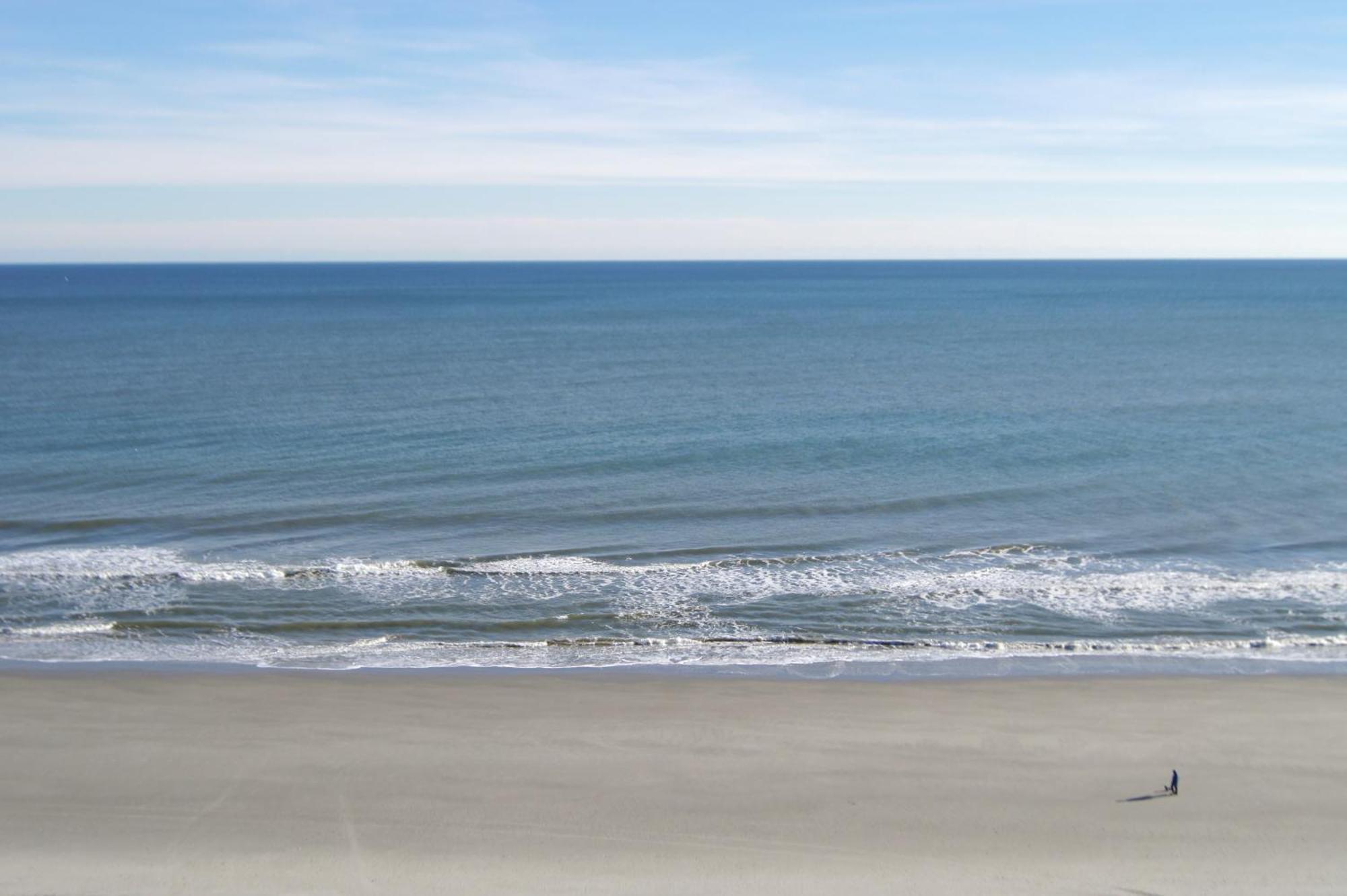 Seaside 1003 *