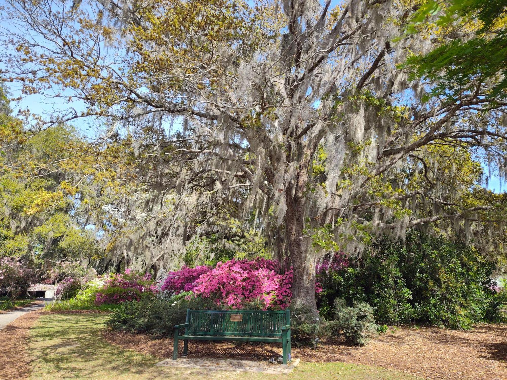 Apartment Peaceful Retreat Close To Myrtle Beach! *