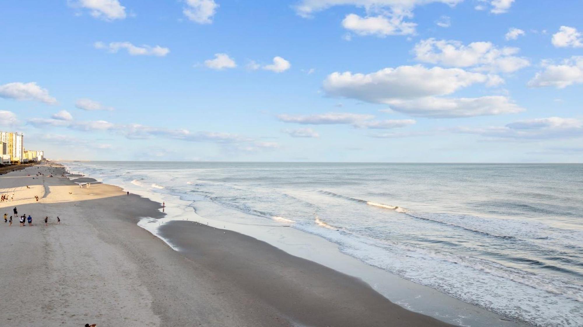 Ace Basin - Across From Ocean - Pet Friendly