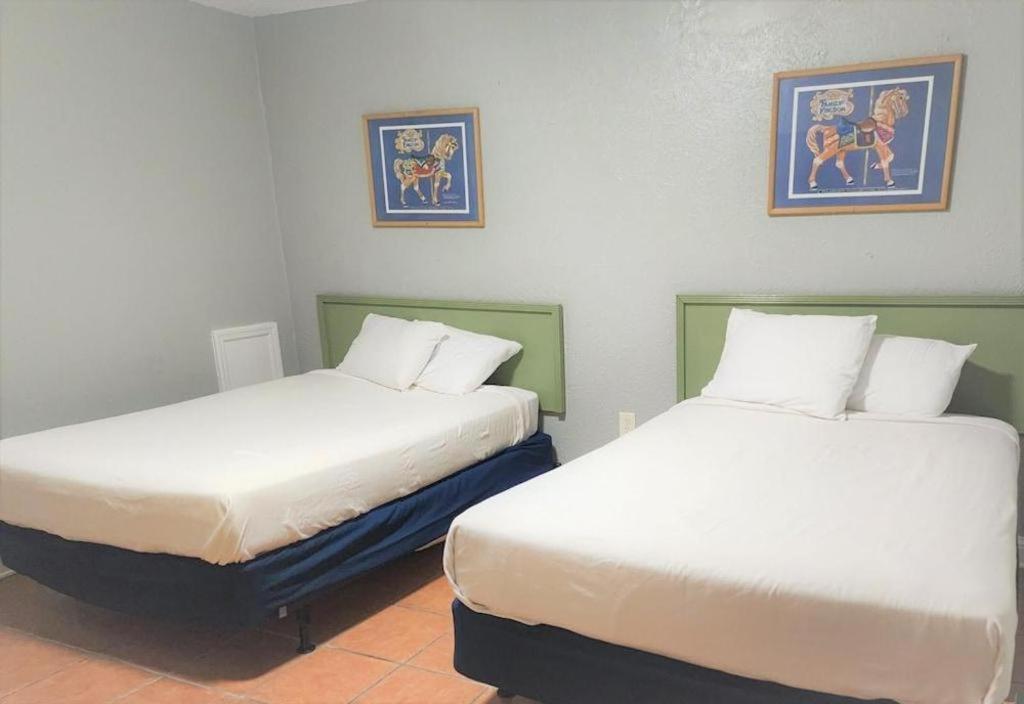 Hotel Sea Mist 3*