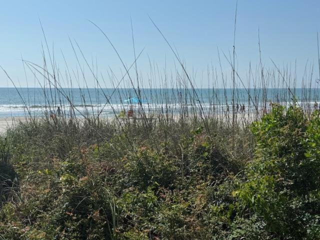 Shores Of Surfside I - 205 Holiday home