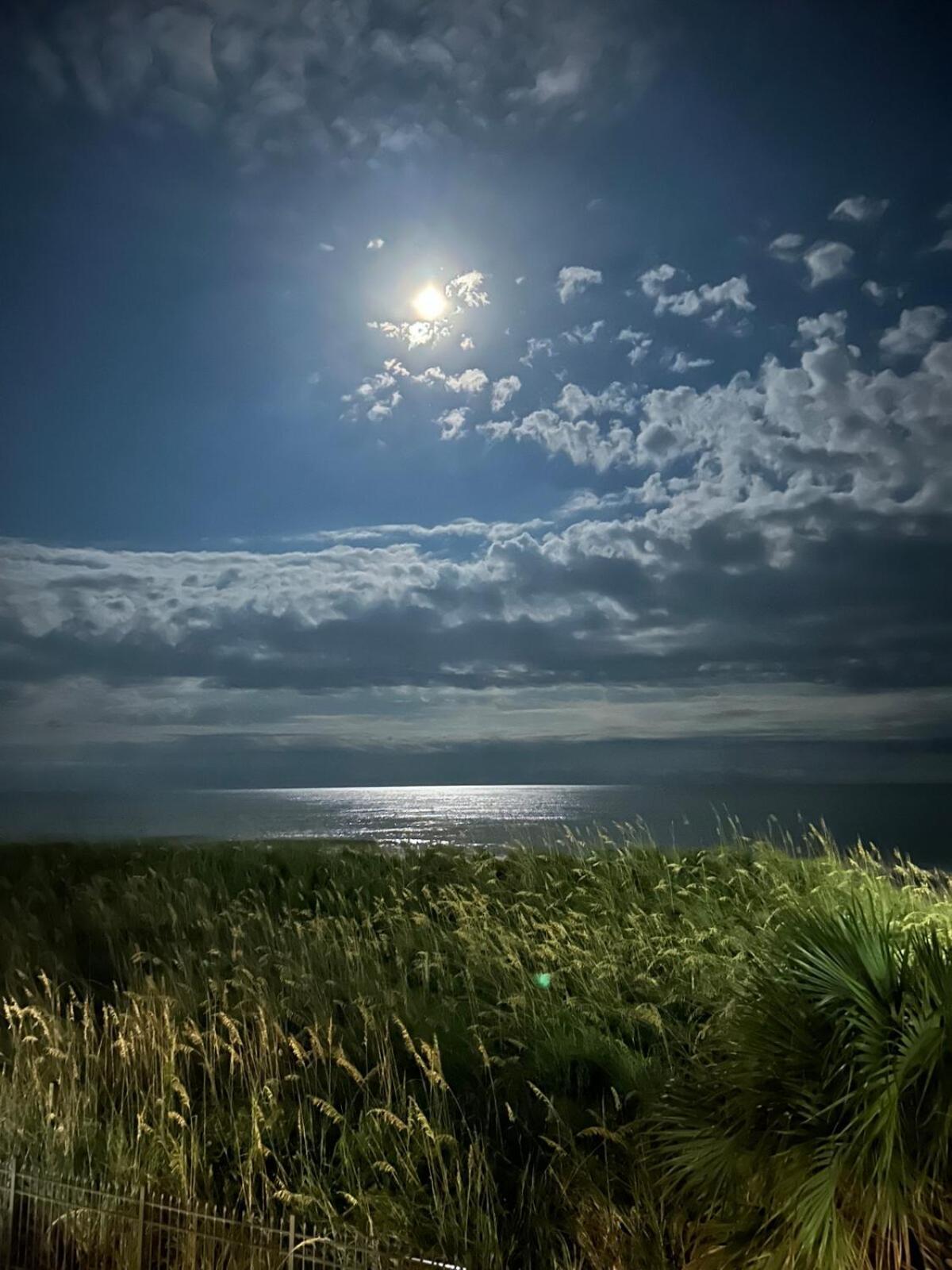 The Salty Breeze - 2 Ocean Front Master's - Steps To The