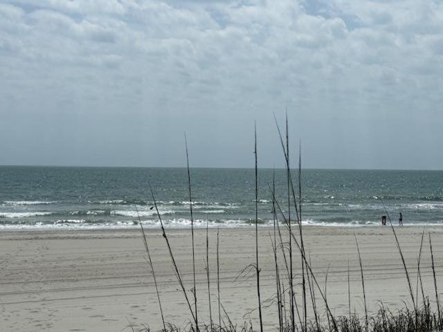 Fiddler 101 * Myrtle Beach