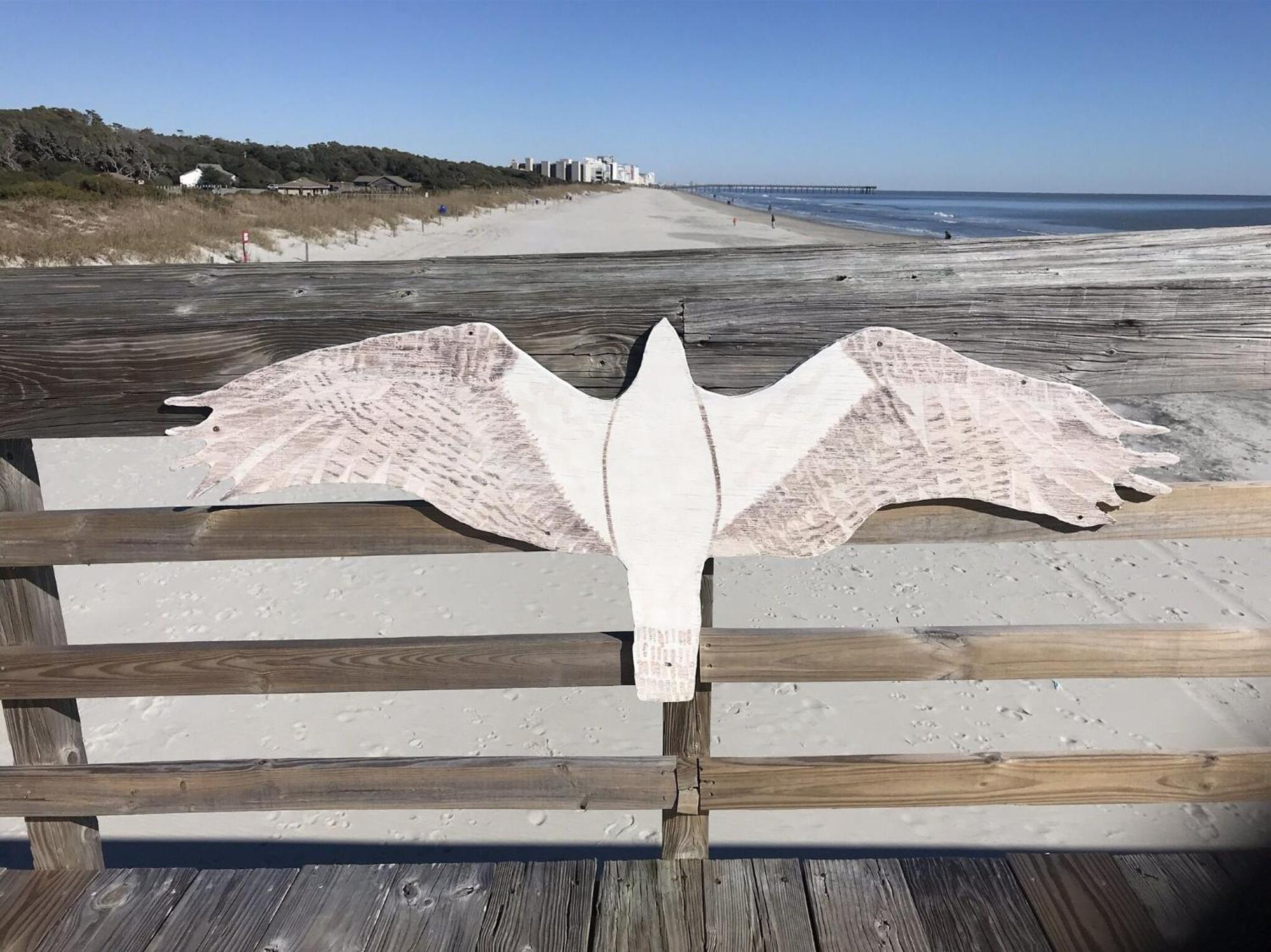 Aparthotel Breathtaking Oceanfront Atlantic View 1br In Myrtle Myrtle Beach