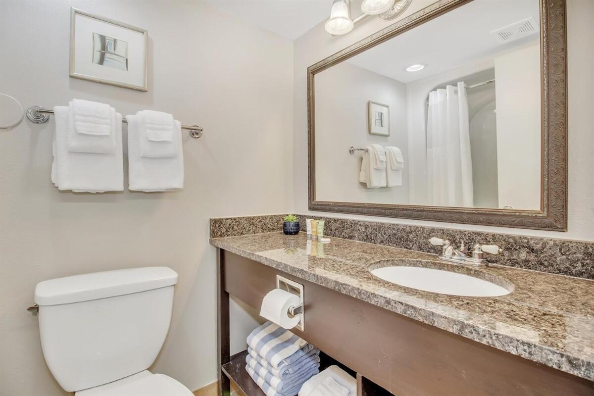 Apartment Oceanfront With Full Kitche, Dogs Ok! 622
