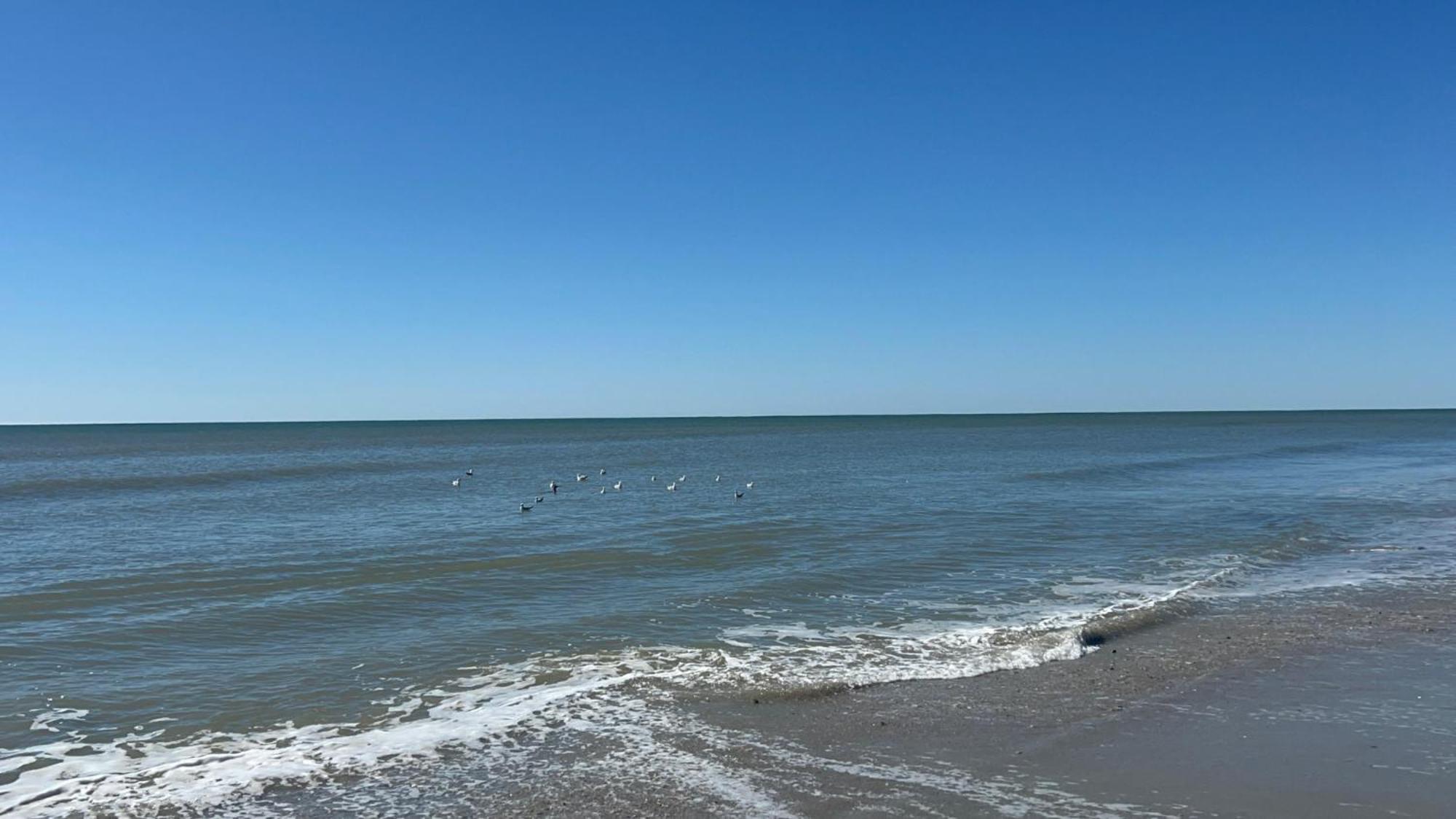 Spacious Luxurious 2b2b Ocean View Sleeps 8 *