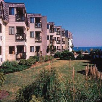 Ocean Forest Villa *