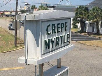 Crepe Myrtle