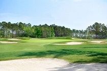 Resort World Tour Golf