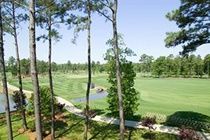 Resort World Tour Golf 3*