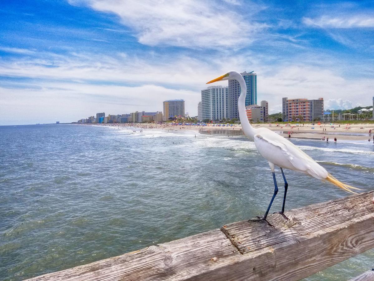 Floormodern Building, Pools Direct Oceanfront Apartment